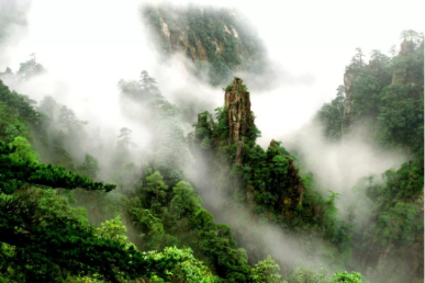 景點(diǎn)：莽山