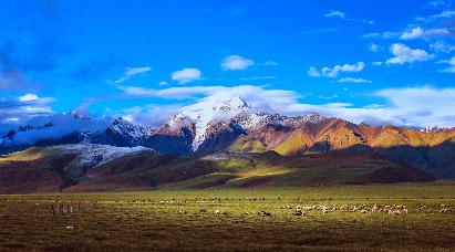 景點(diǎn)：唐古拉山口