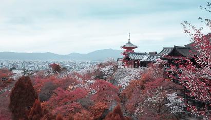 景點(diǎn)：京都