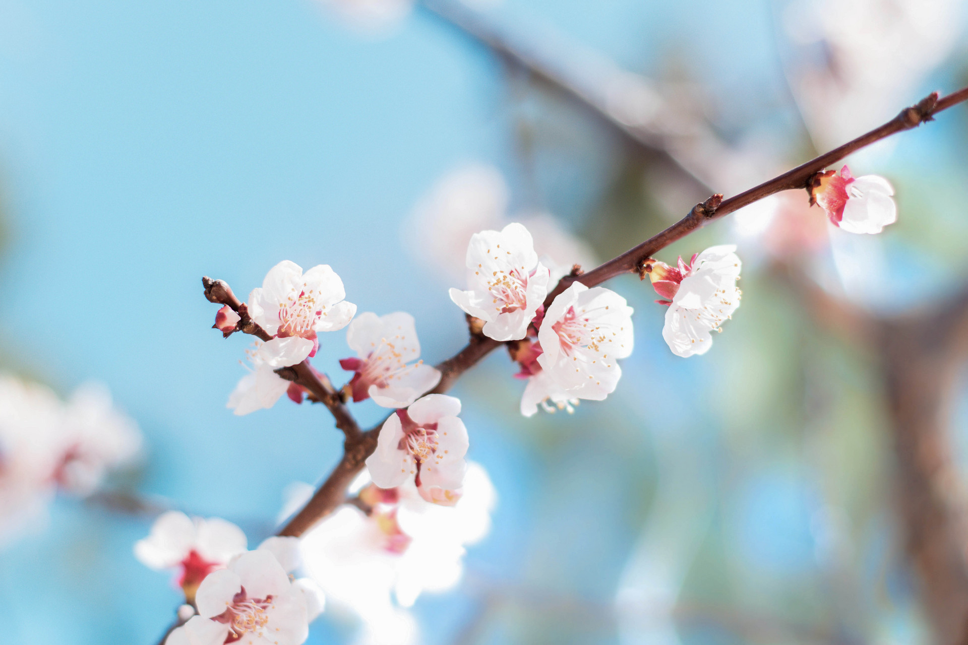 景點(diǎn)封面圖